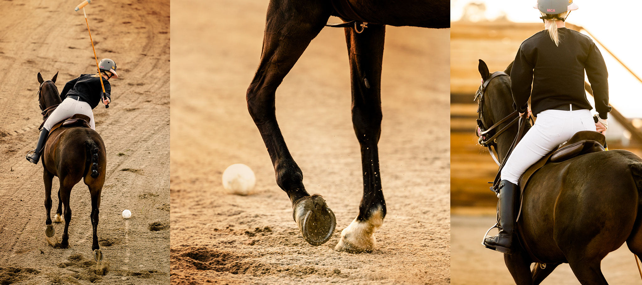 Unbridled-V2-Clean.jpg